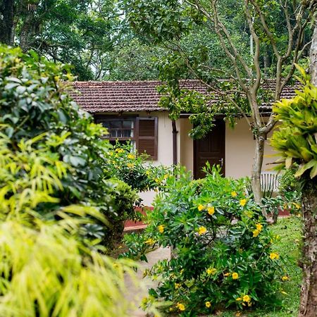 Casa Do Lenhador Villa Petrópolis Dış mekan fotoğraf